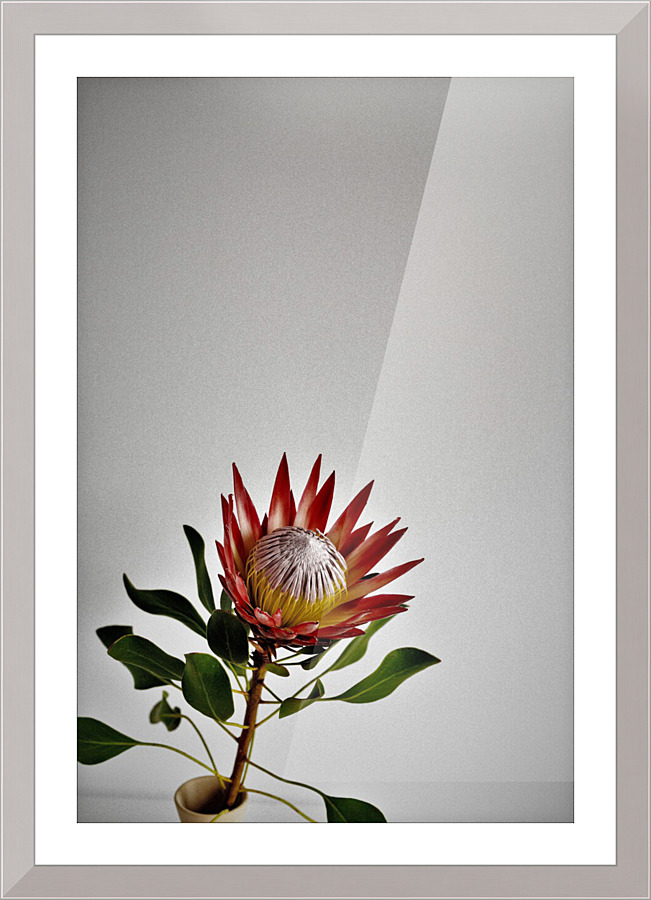 2331 Picture Frame print