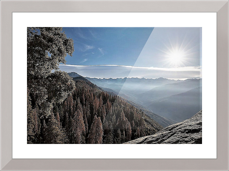 2352 Picture Frame print
