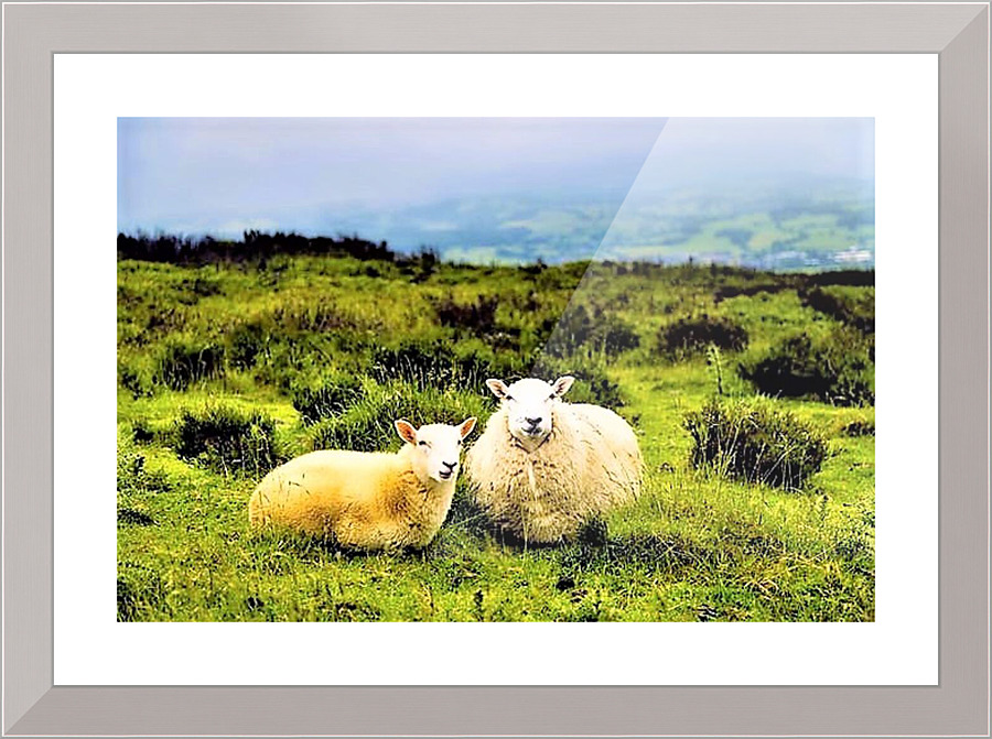 2366 Picture Frame print