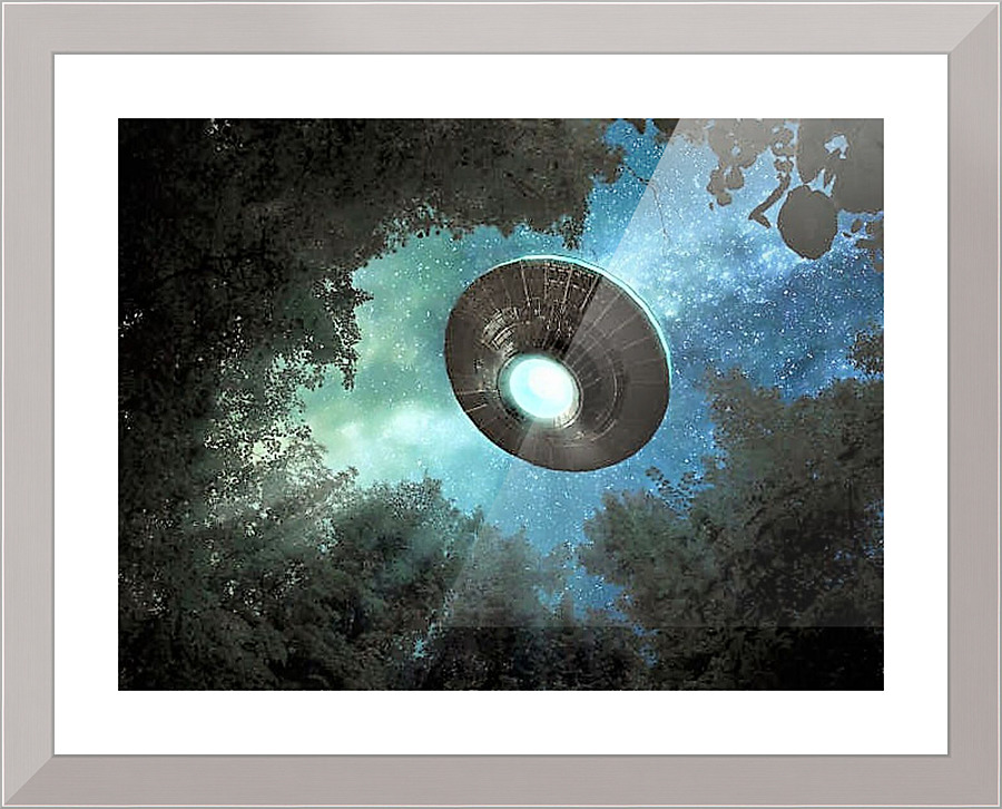2377 Picture Frame print