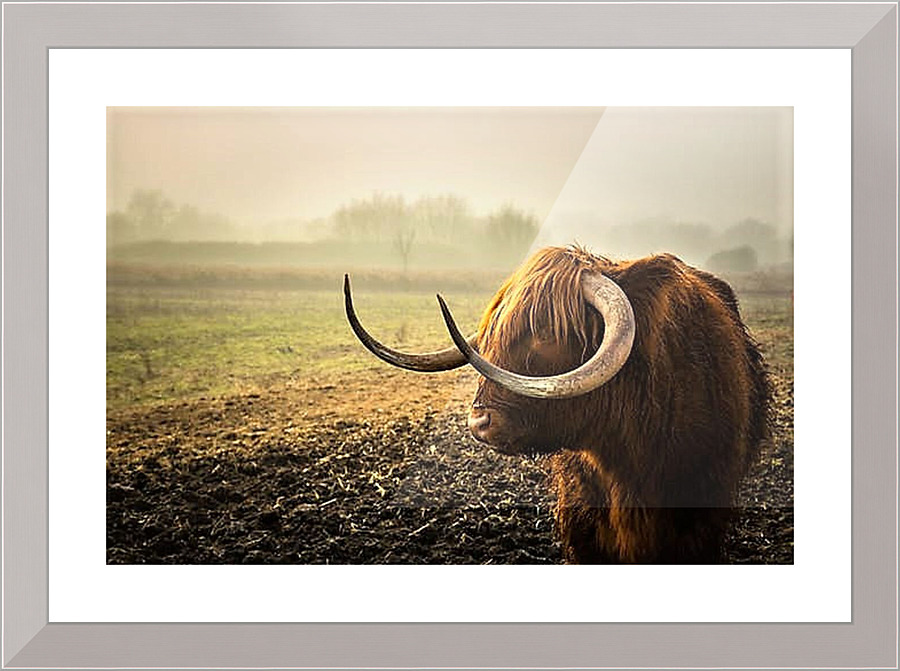 2378 Picture Frame print
