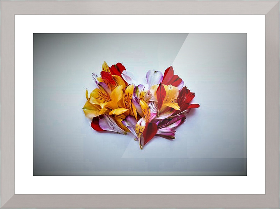 2385 Picture Frame print
