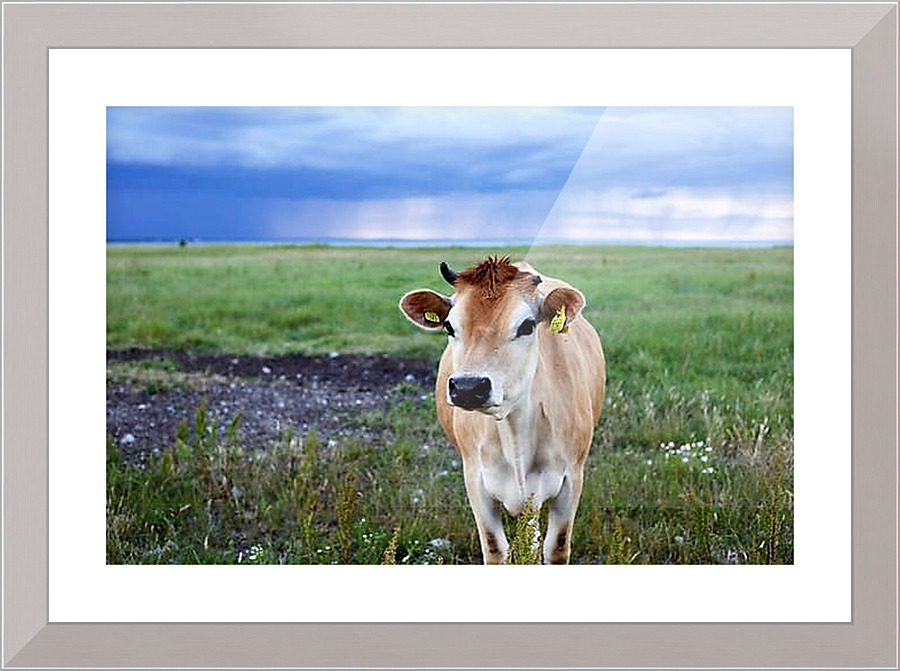 2404 Picture Frame print