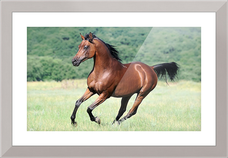 2411 Picture Frame print