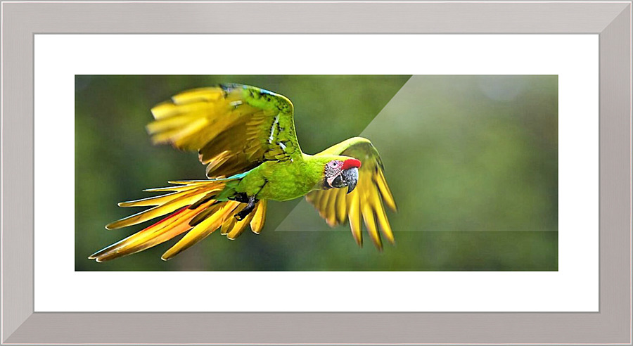 2413 Picture Frame print