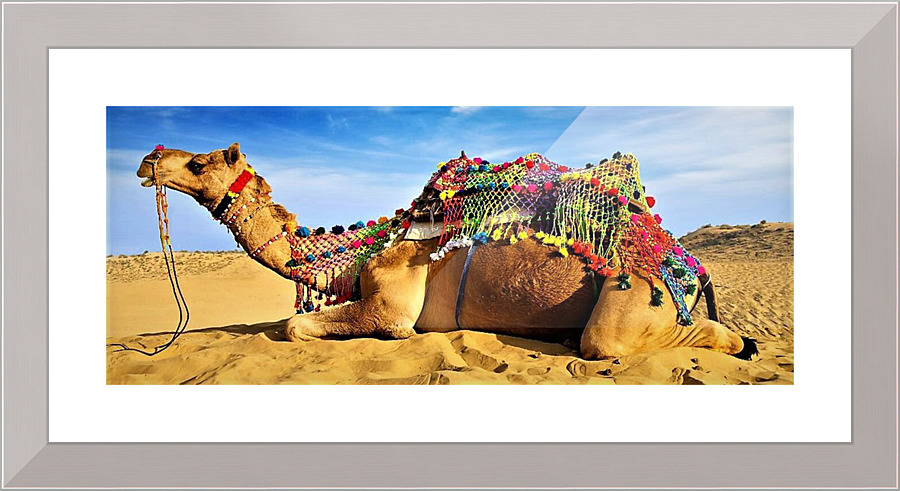 2414 Picture Frame print
