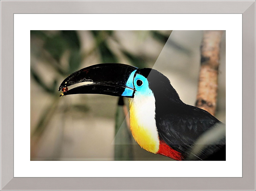 2418 Picture Frame print
