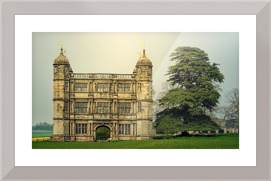 2419 Picture Frame print