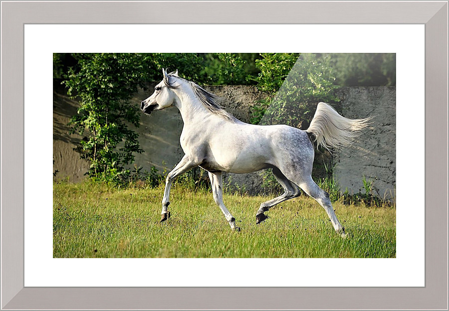 2420 Picture Frame print
