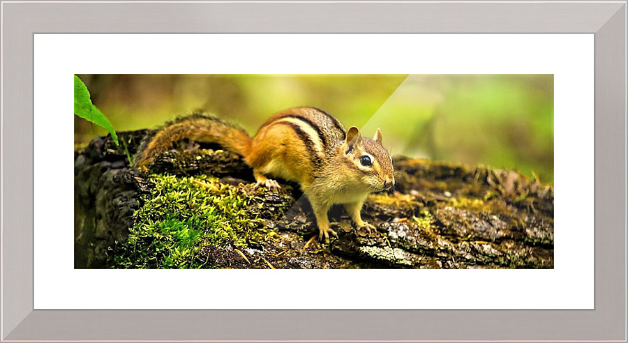 2421 Picture Frame print