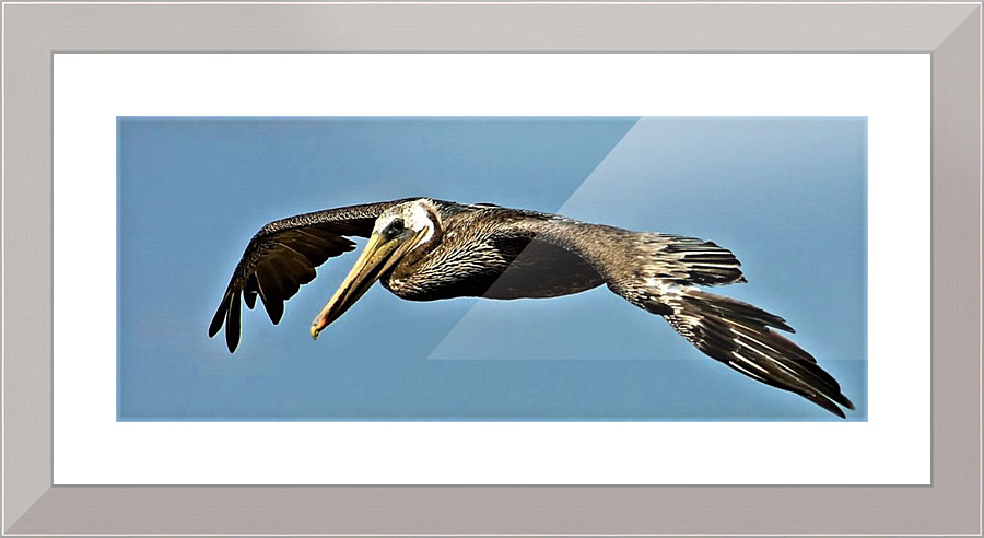 2425 Picture Frame print