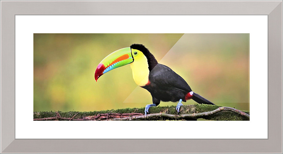 2428 Picture Frame print