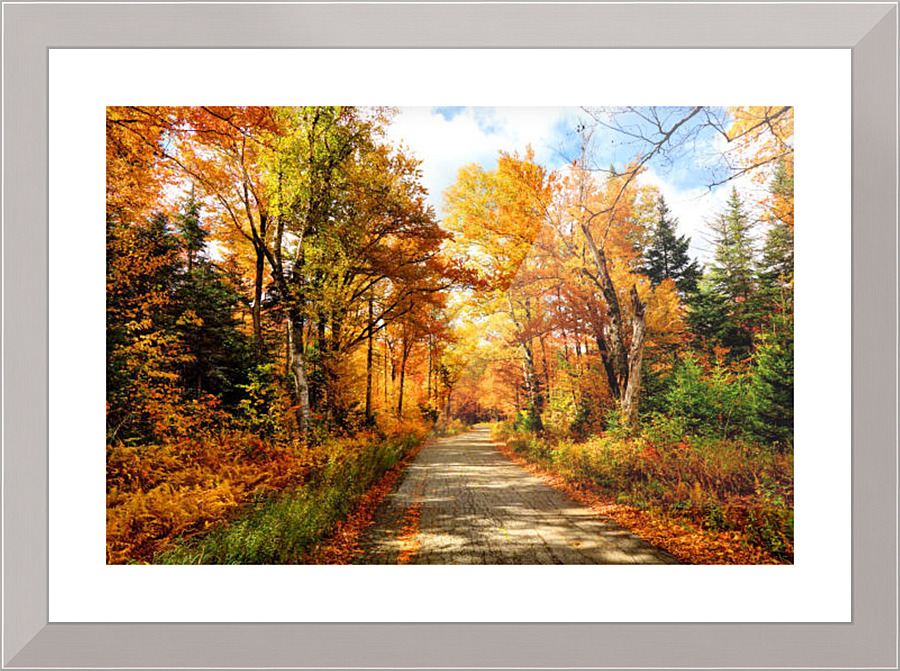 2430 Picture Frame print