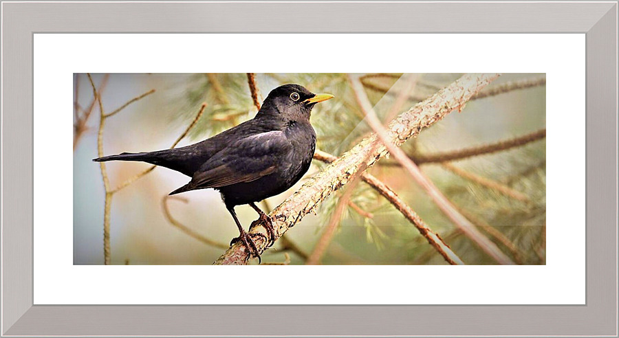 2439 Picture Frame print