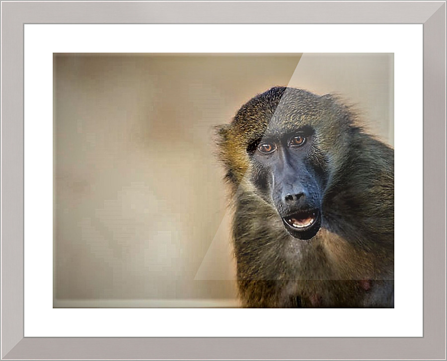2449 Picture Frame print
