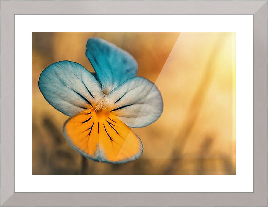2466 Picture Frame print