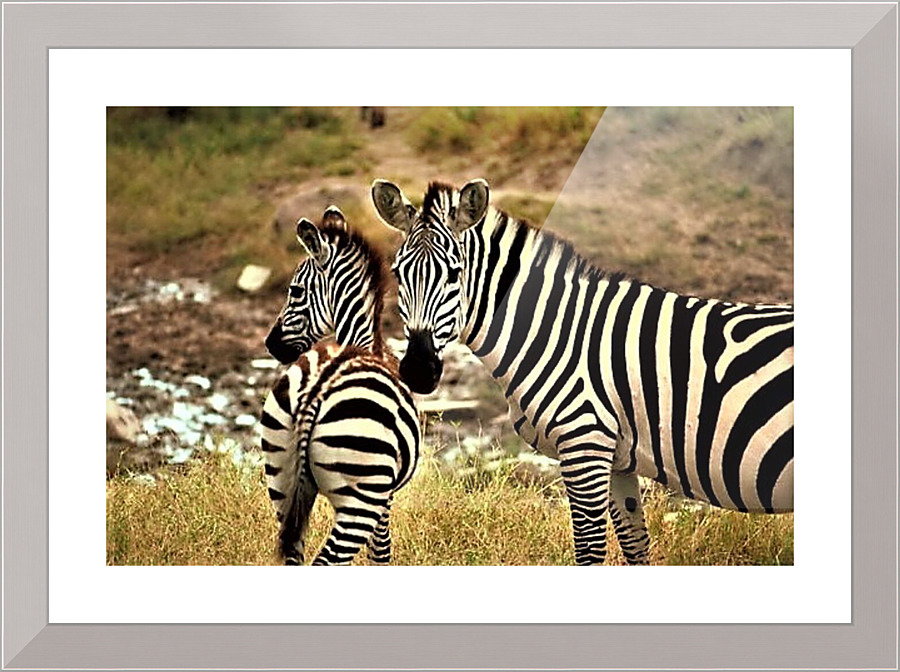 2469 Picture Frame print