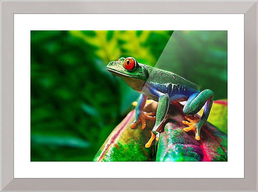 2477 Picture Frame print