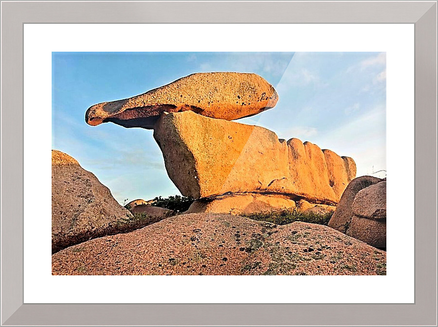 2498 Picture Frame print