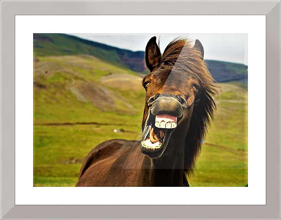 2502 Picture Frame print
