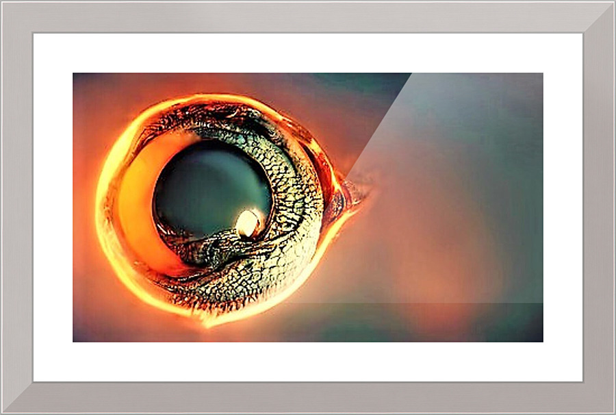 2530 Picture Frame print