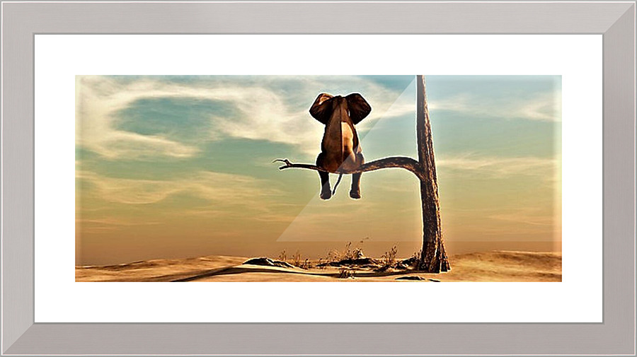 2536 Picture Frame print