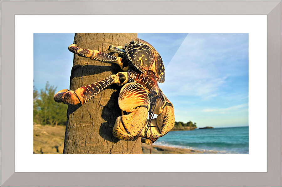 2582 Picture Frame print