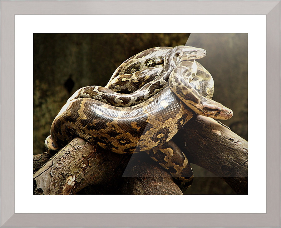 2587 Picture Frame print