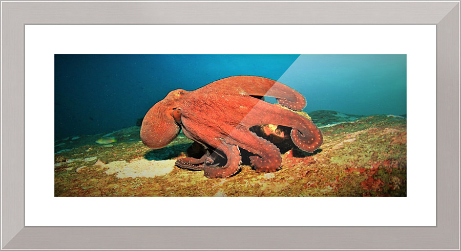2588 Picture Frame print