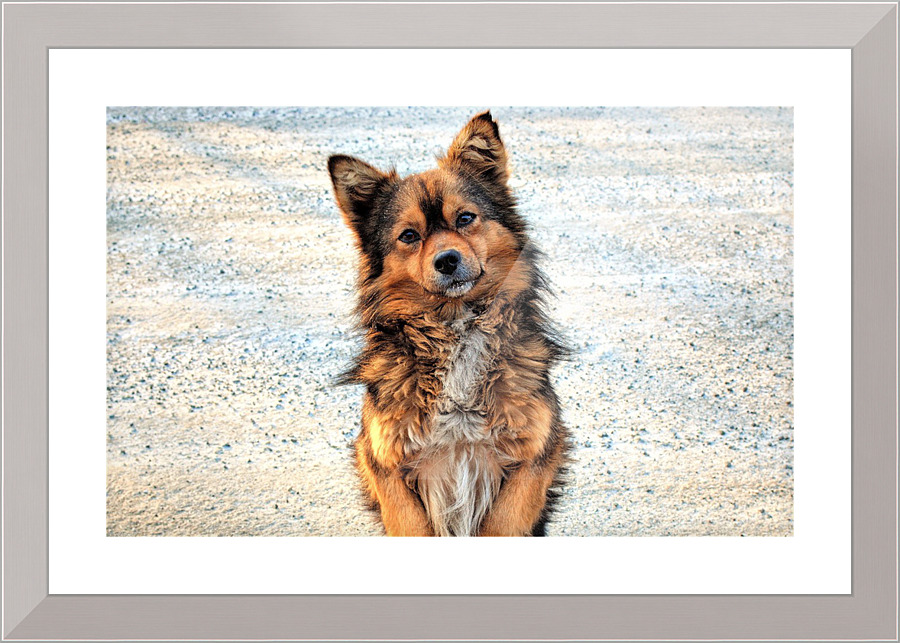 2600 Picture Frame print