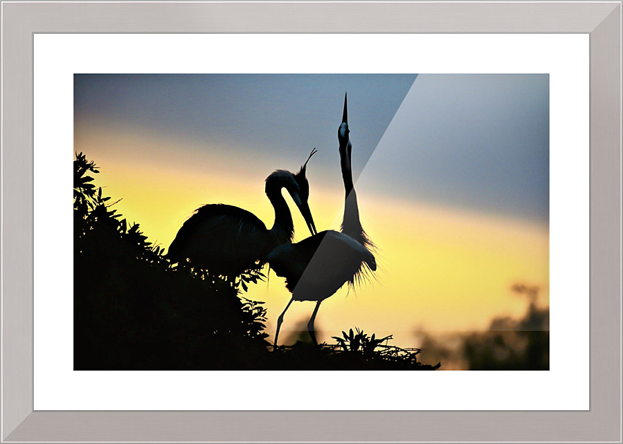 2607 Picture Frame print