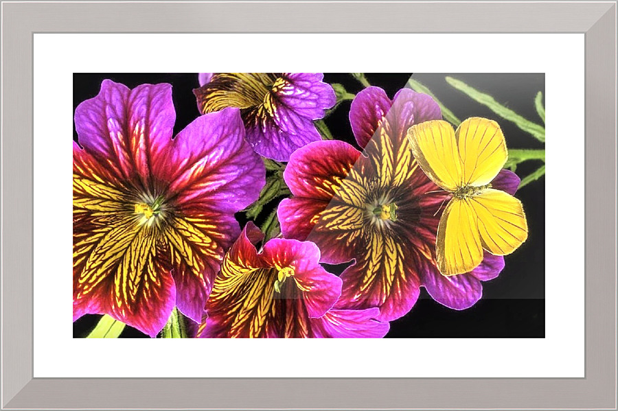 2610 Picture Frame print