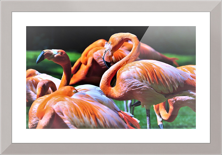 2620 Picture Frame print