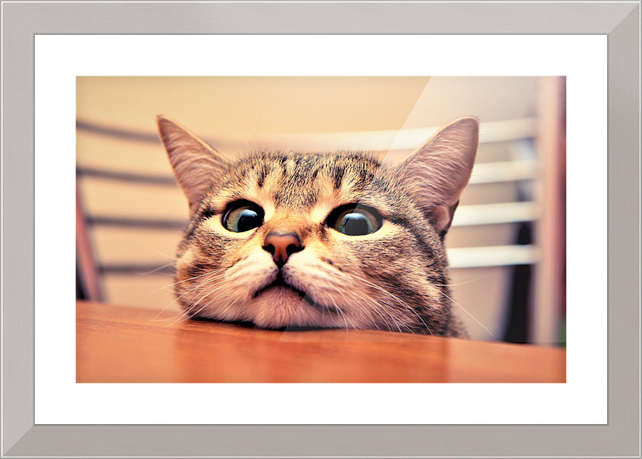 2619 Picture Frame print