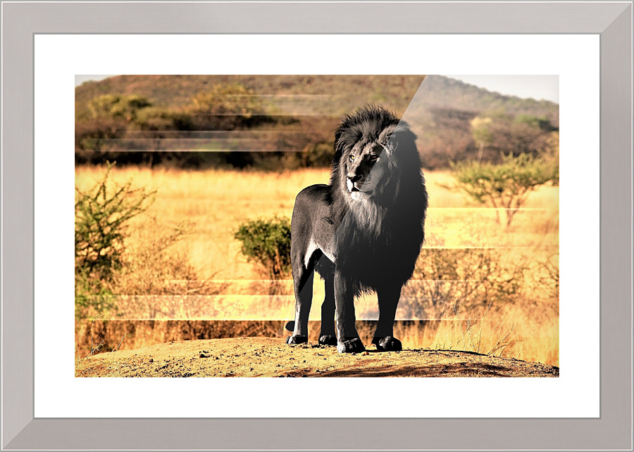 2623 Picture Frame print
