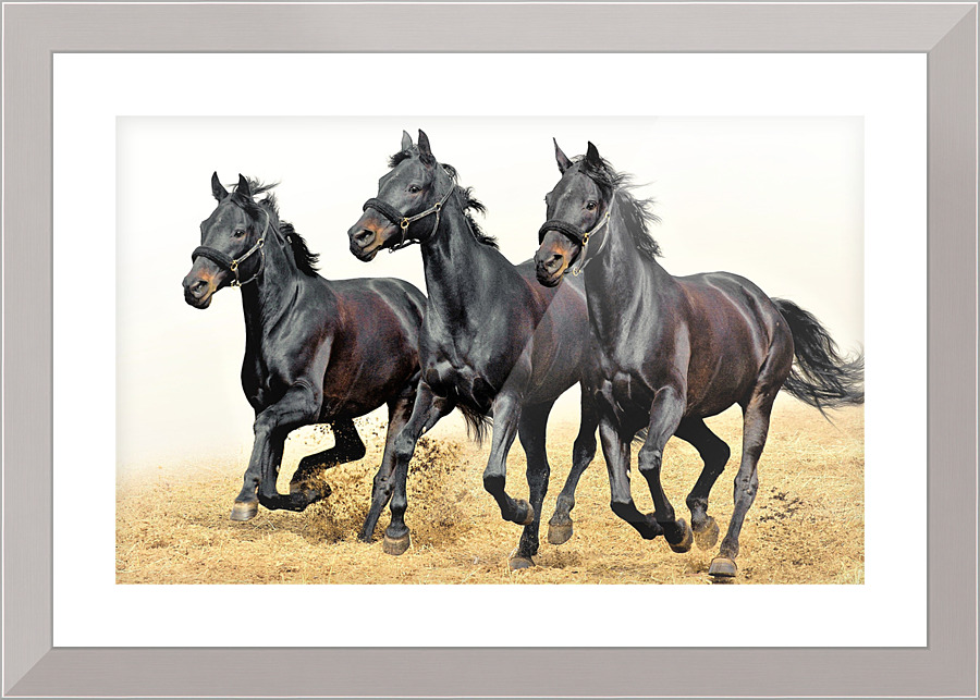 2625 Picture Frame print