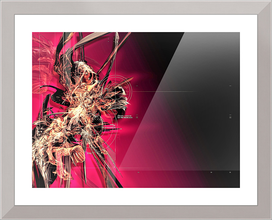 2629 Picture Frame print
