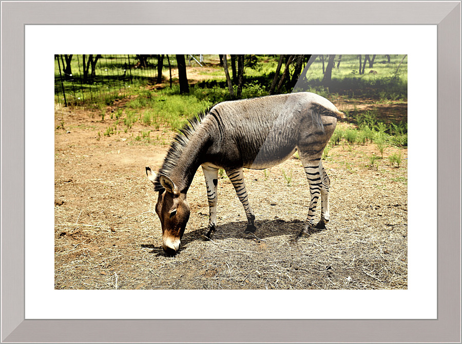 2646 Picture Frame print