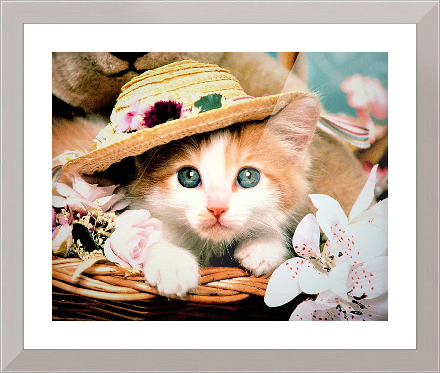 2650 Picture Frame print