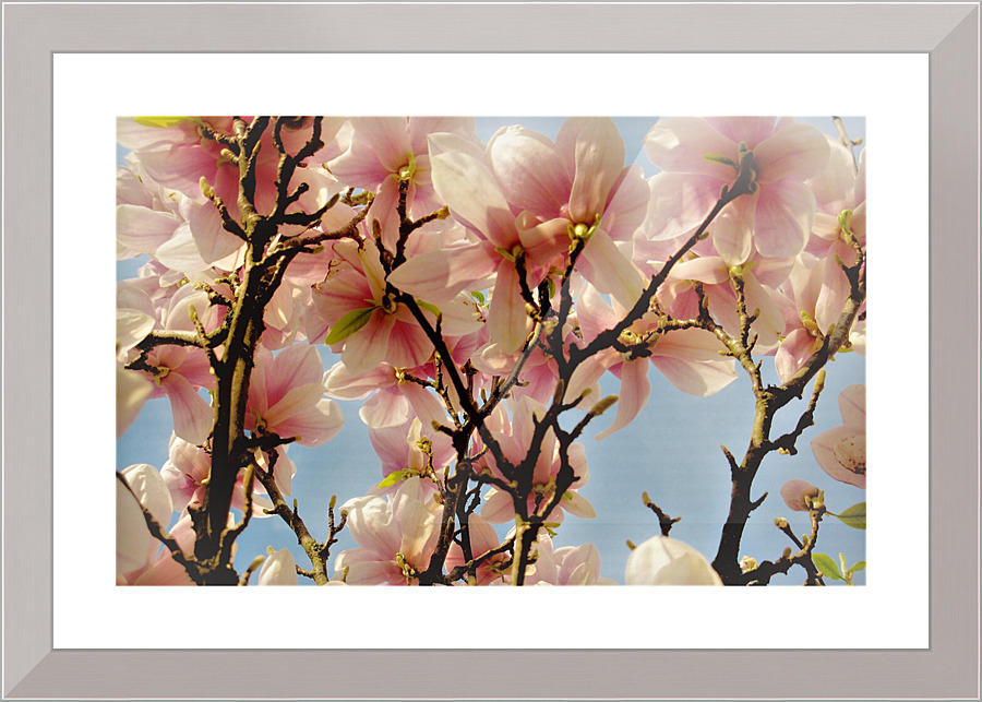 2675 Picture Frame print