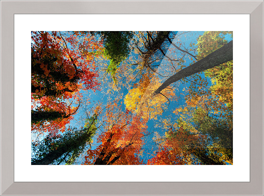 2678 Picture Frame print
