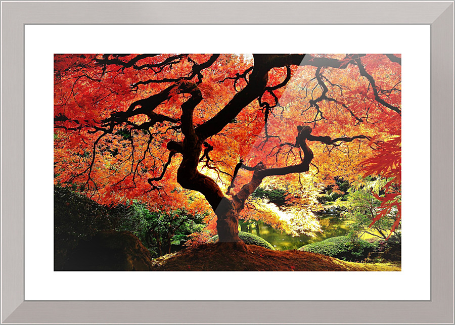 2696 Picture Frame print