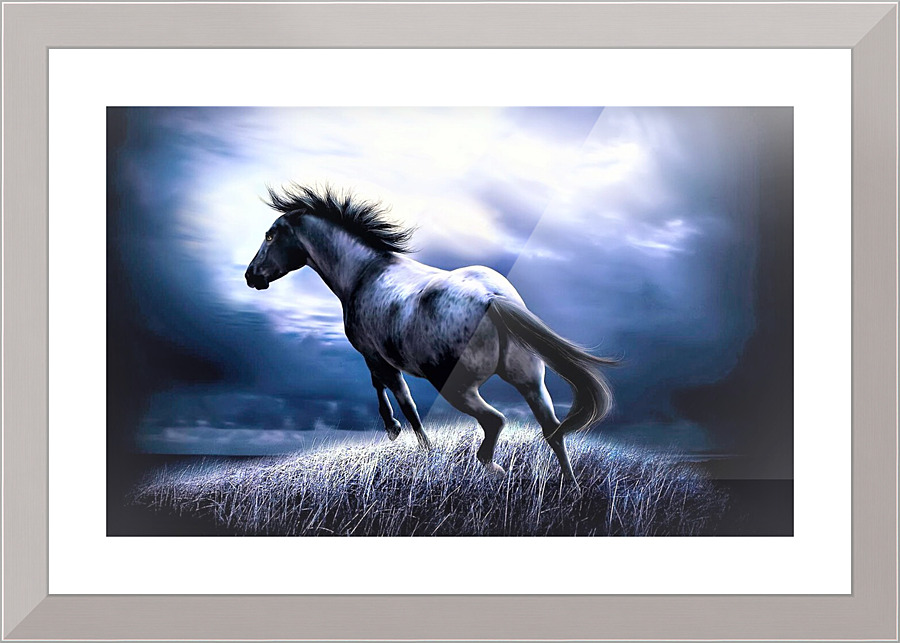 2700 Picture Frame print
