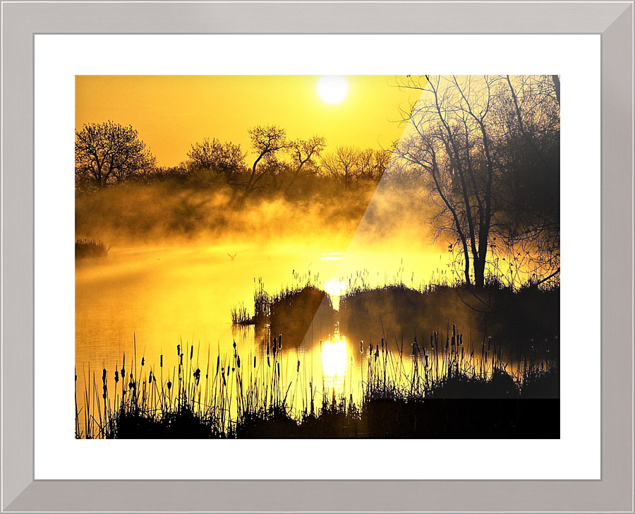 2721 Picture Frame print