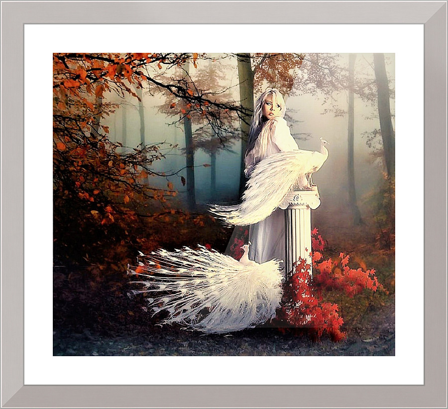 2728 Picture Frame print