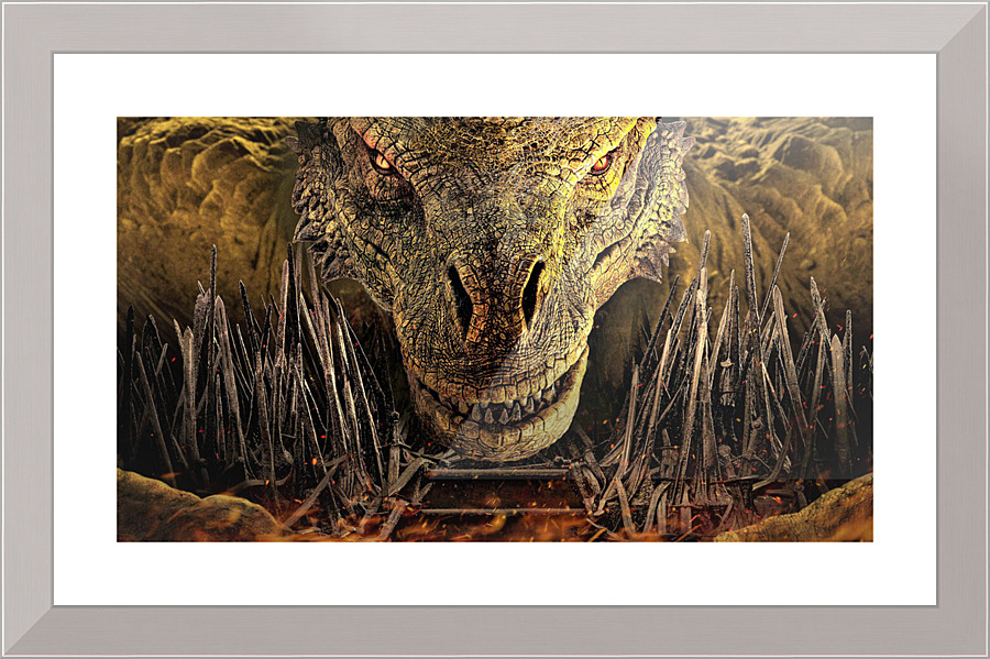 2739 Picture Frame print