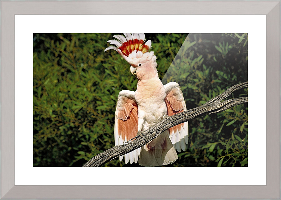 2742 Picture Frame print
