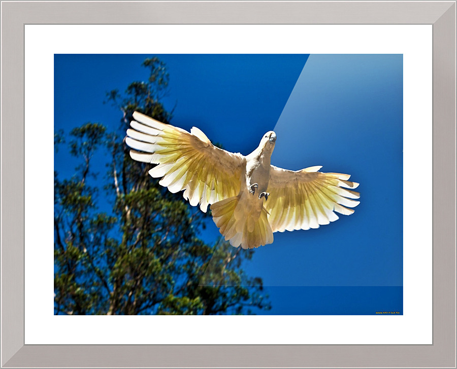 2767 Picture Frame print