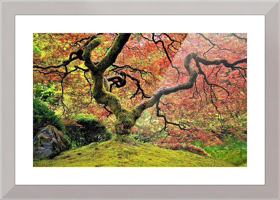 2769 Picture Frame print