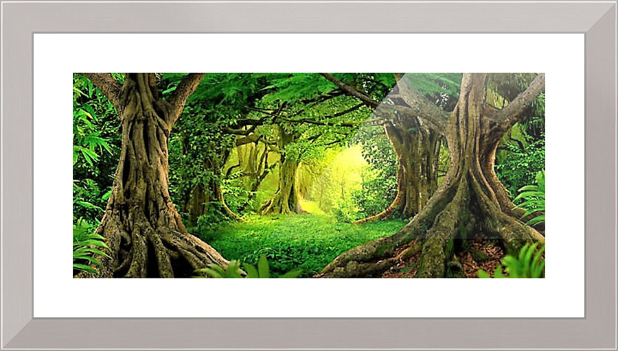 2773 Picture Frame print